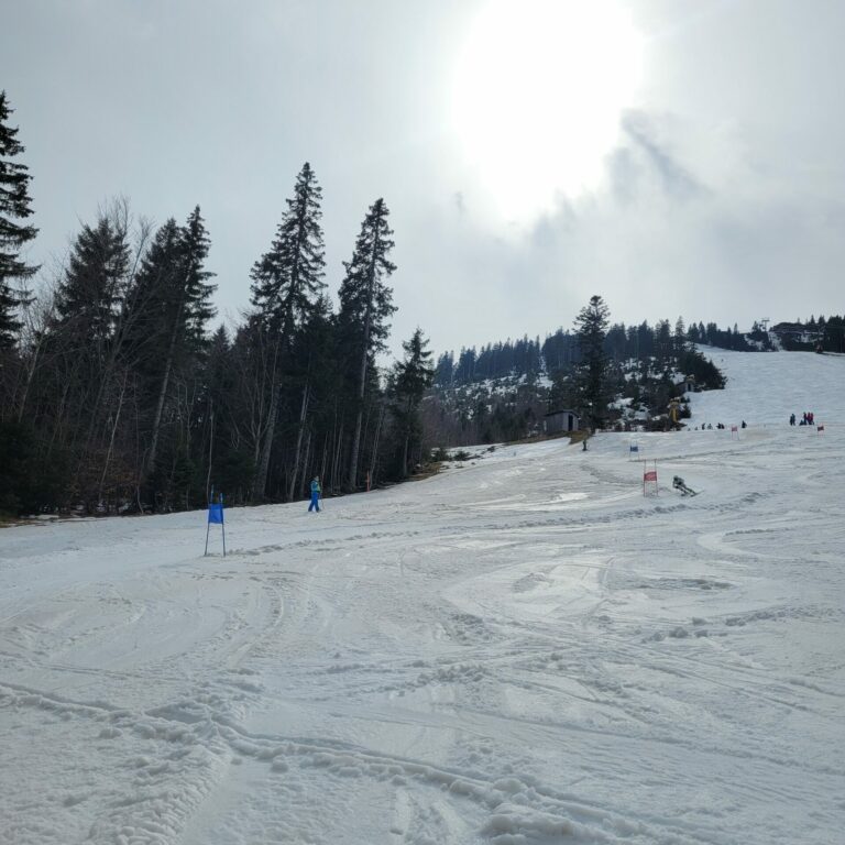 Bild_Skifahrer2